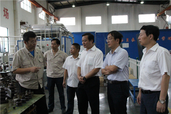 國網(wǎng)湖北省電力公司運(yùn)檢主任一行到紫電公司檢查工作 國網(wǎng)湖北省電力公司運(yùn)檢主任一行到紫電公司檢查工作